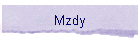 Mzdy